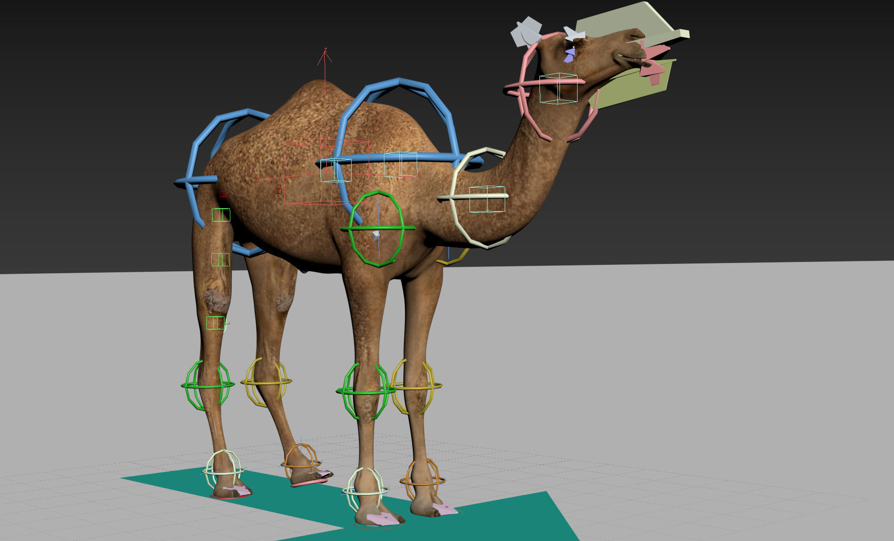Pro Camel 8K - 3d animated model 3D model_14