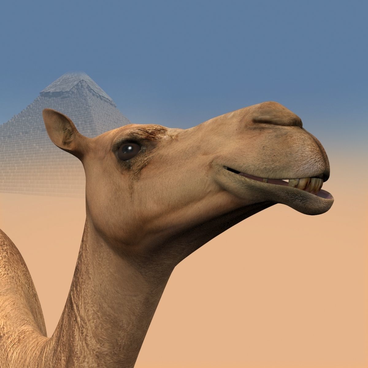 Pro Camel 8K - 3d animated model 3D model_25