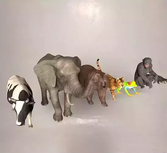 animal group forest 3D model