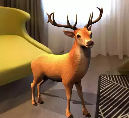 Reindeer or deer 3d model 3D model