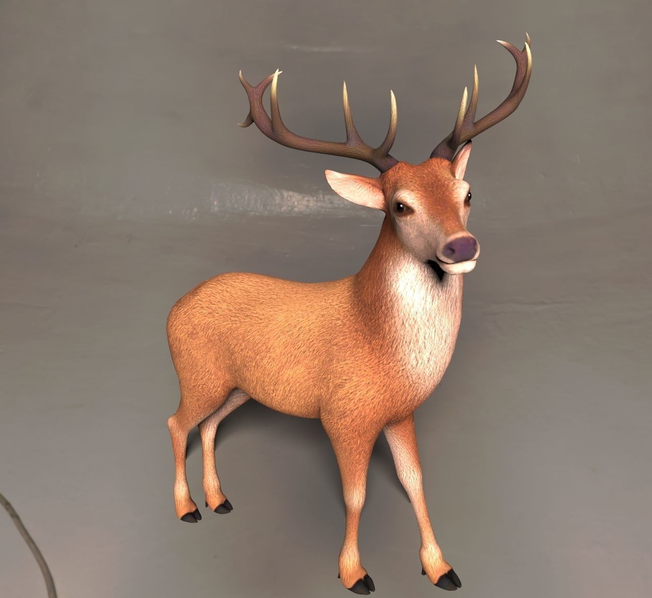 Reindeer or deer 3d model 3D model_1