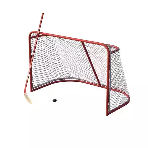 Hockey Gates 3D model
