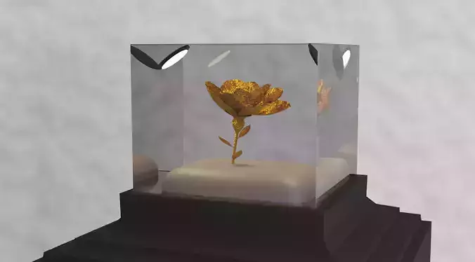 Desire box with gold medallion on top