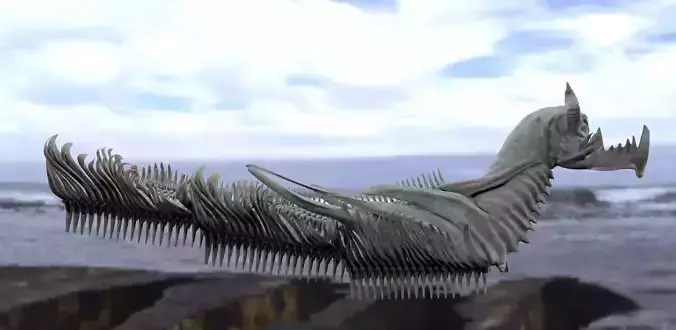 Scull Ship 3D model
