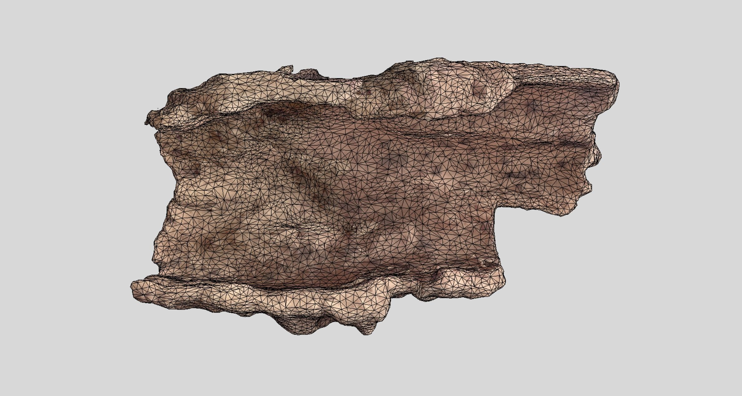 Photoscan Concave Bark 3D model_4