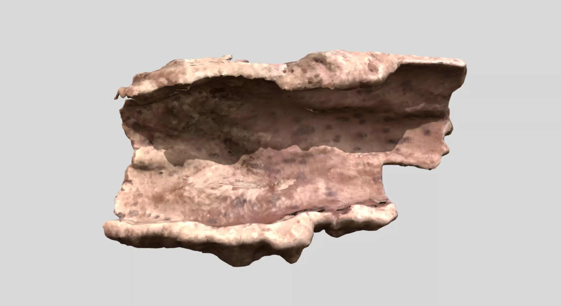 Photoscan Concave Bark 3D model_0