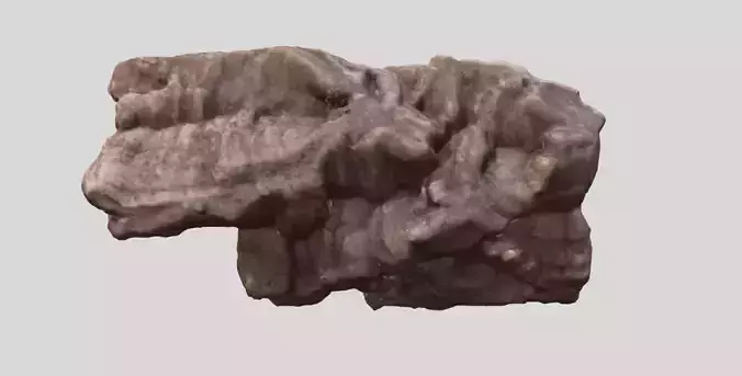 High poly bark photoscan 3D model