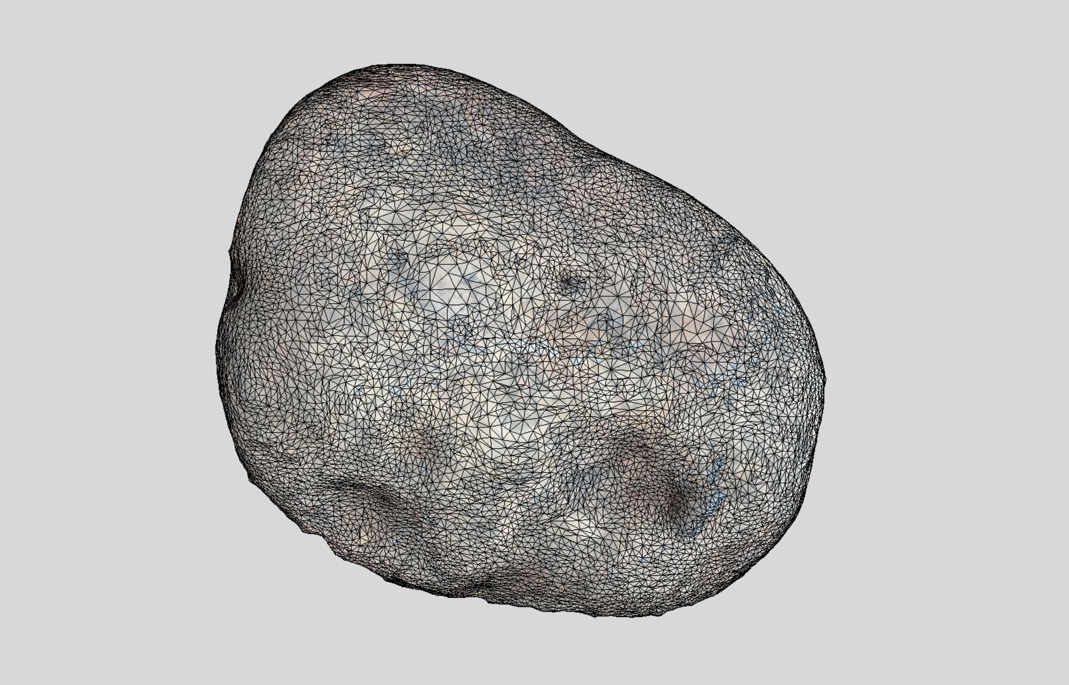 A simple round 3D scanned rock 3D model_4