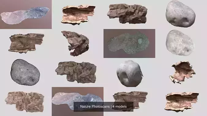 Nature Photoscans 3D Model Collection