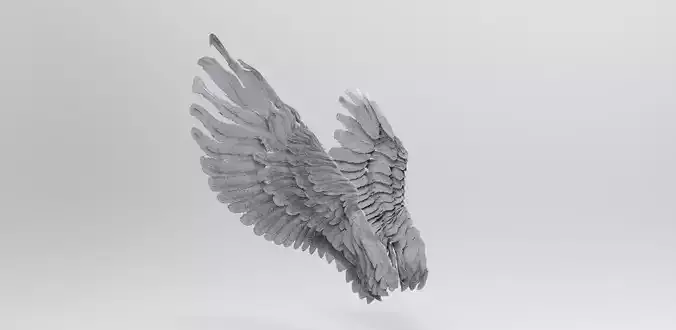 Wings  Side angel 3D model
