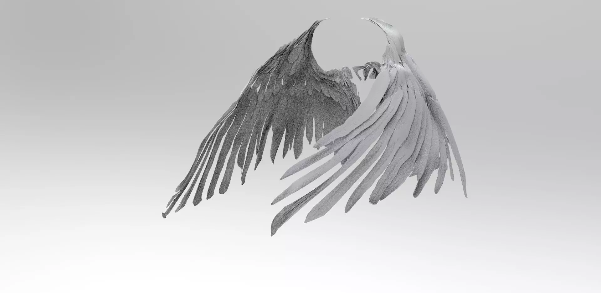 Angel wings front curve 3D model_0