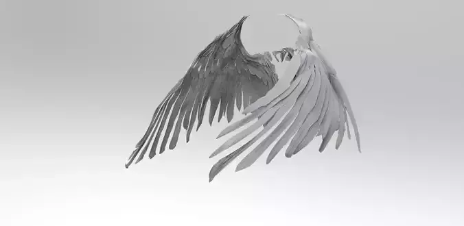 Angel wings front curve 3D model