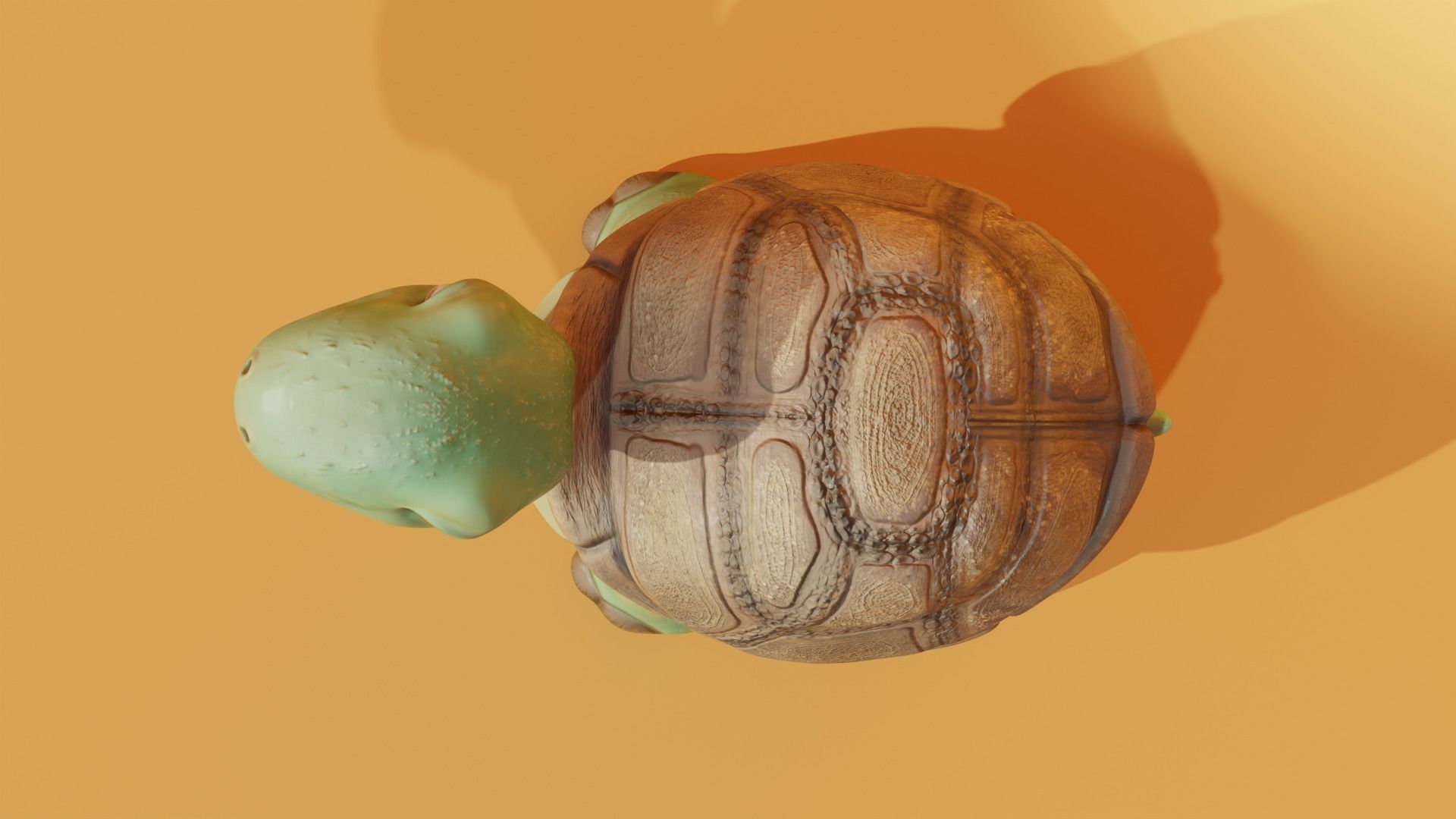 3d Stylized Turtle - Rigged  3D model_5