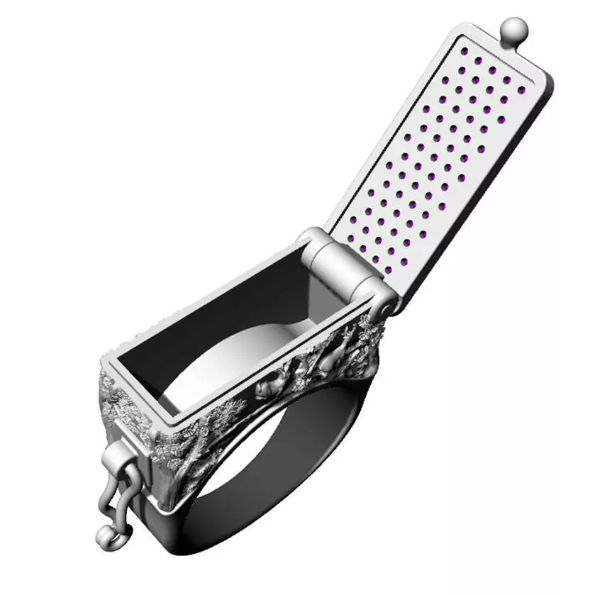 Secret Compartment Ring casket 3D print model_0