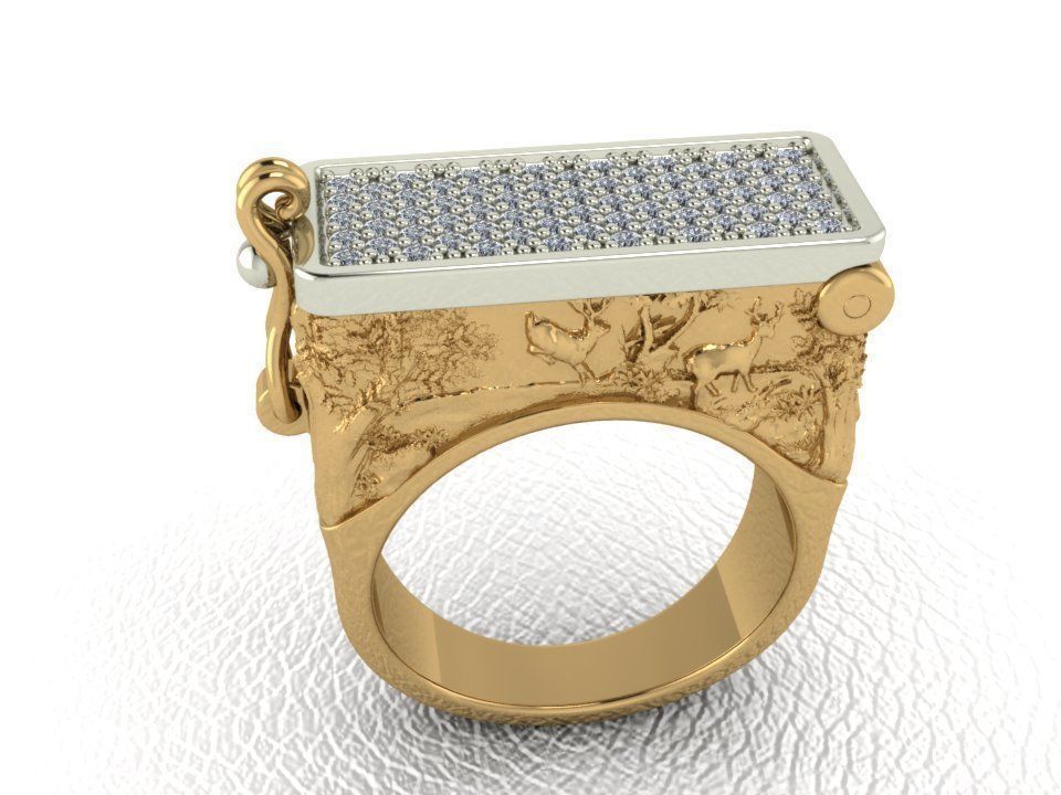 Secret Compartment Ring casket 3D print model_2