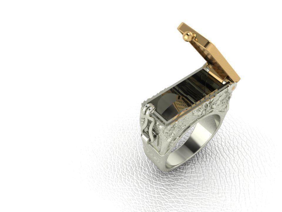 Secret Compartment Ring casket 3D print model_3