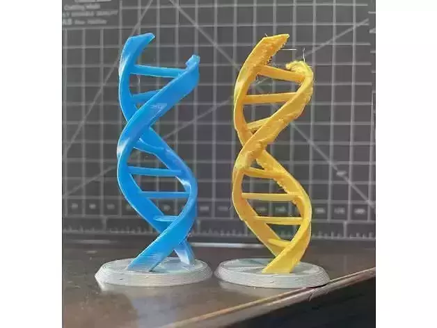 Customizable Double Helix