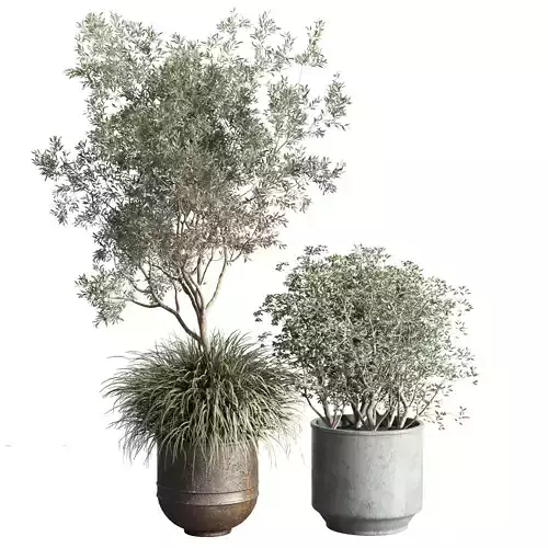 collection outdoor 31 dirt metal old vase pot tree and grass