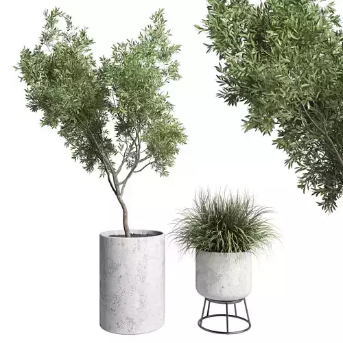 collection outdoor plant 32 concrete vase pot tree and grass