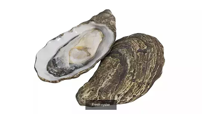 Seafood  3D Model Pack 3