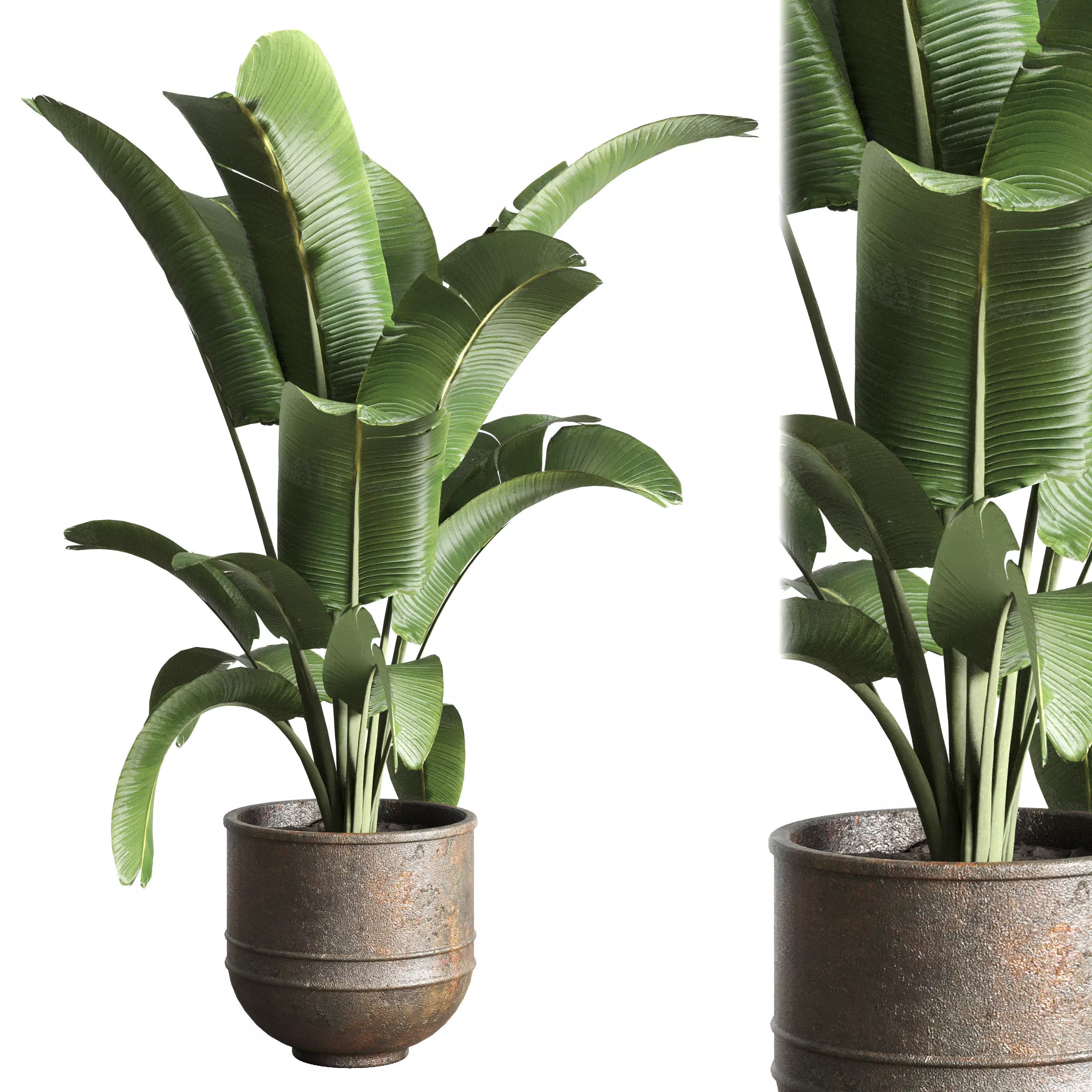 indoor plant 59 dirt metal old vase pot plant 3D model