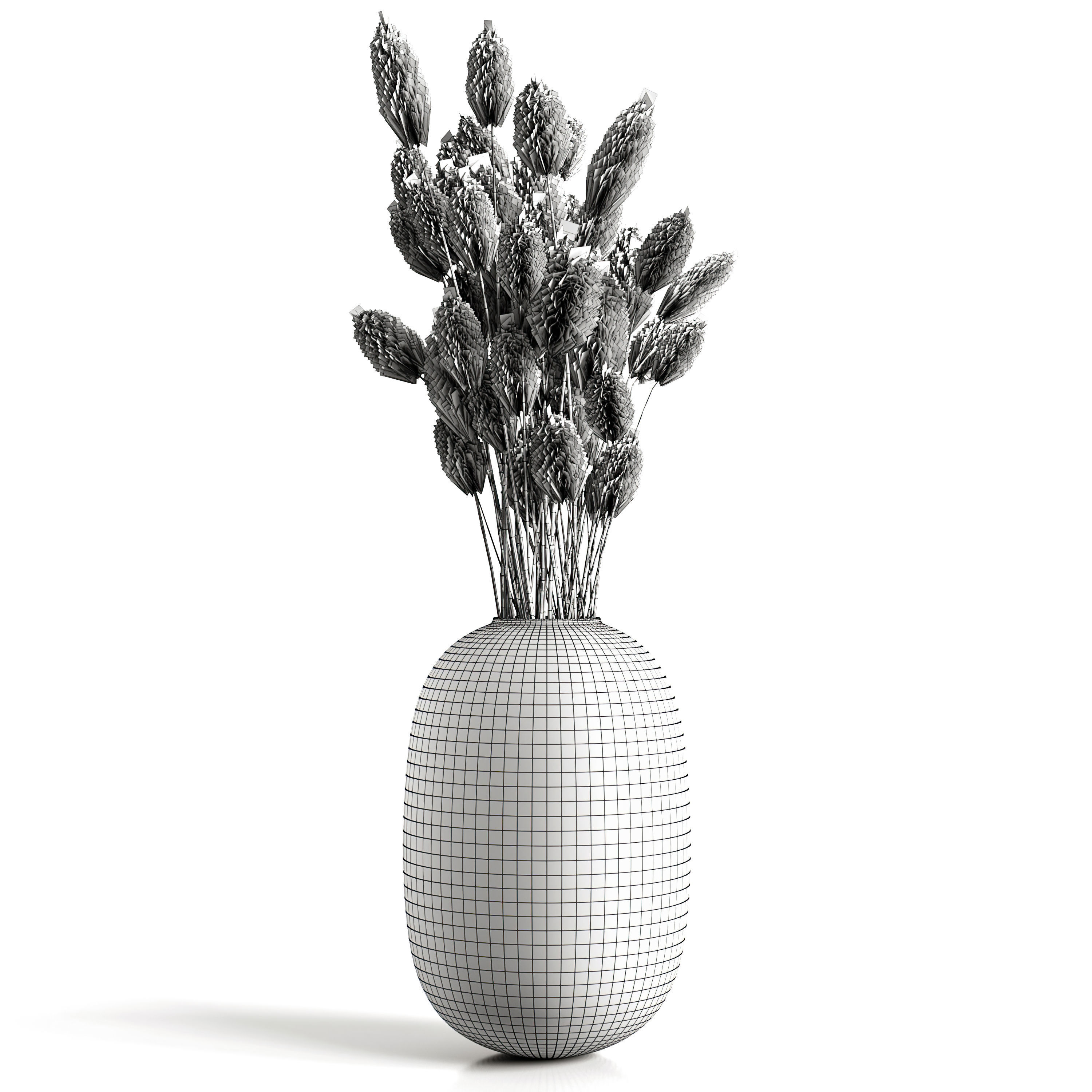 A bouquet of lagurus 3D model_5