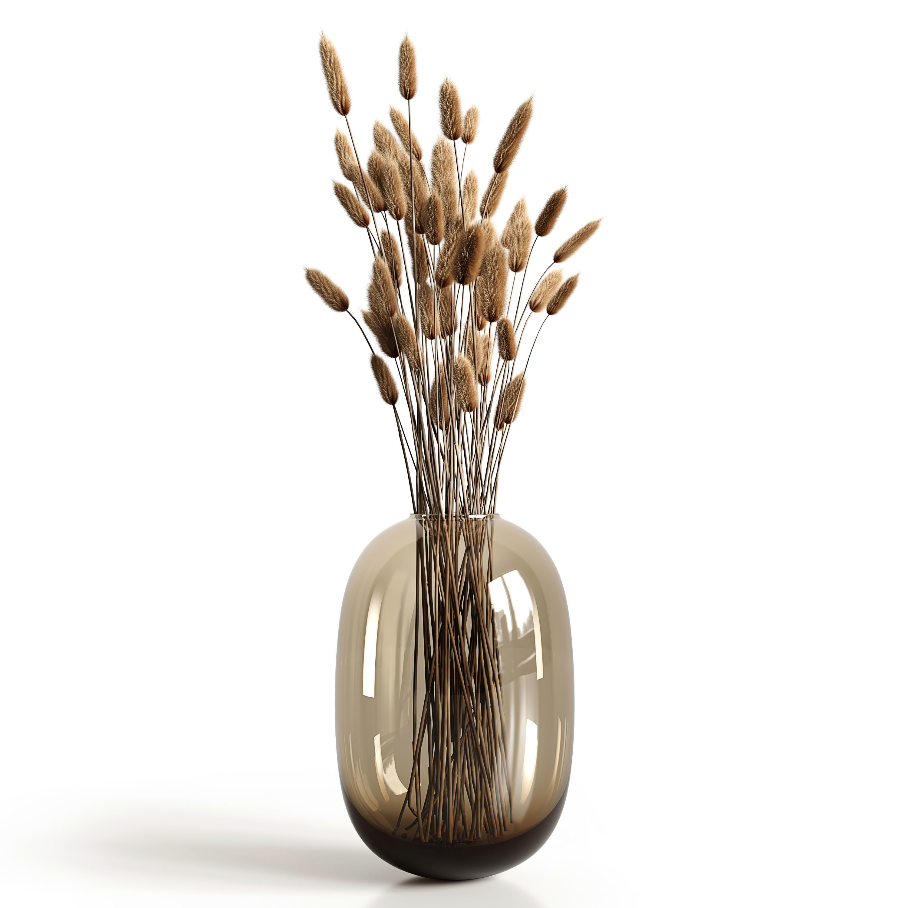 A bouquet of lagurus 3D model_1