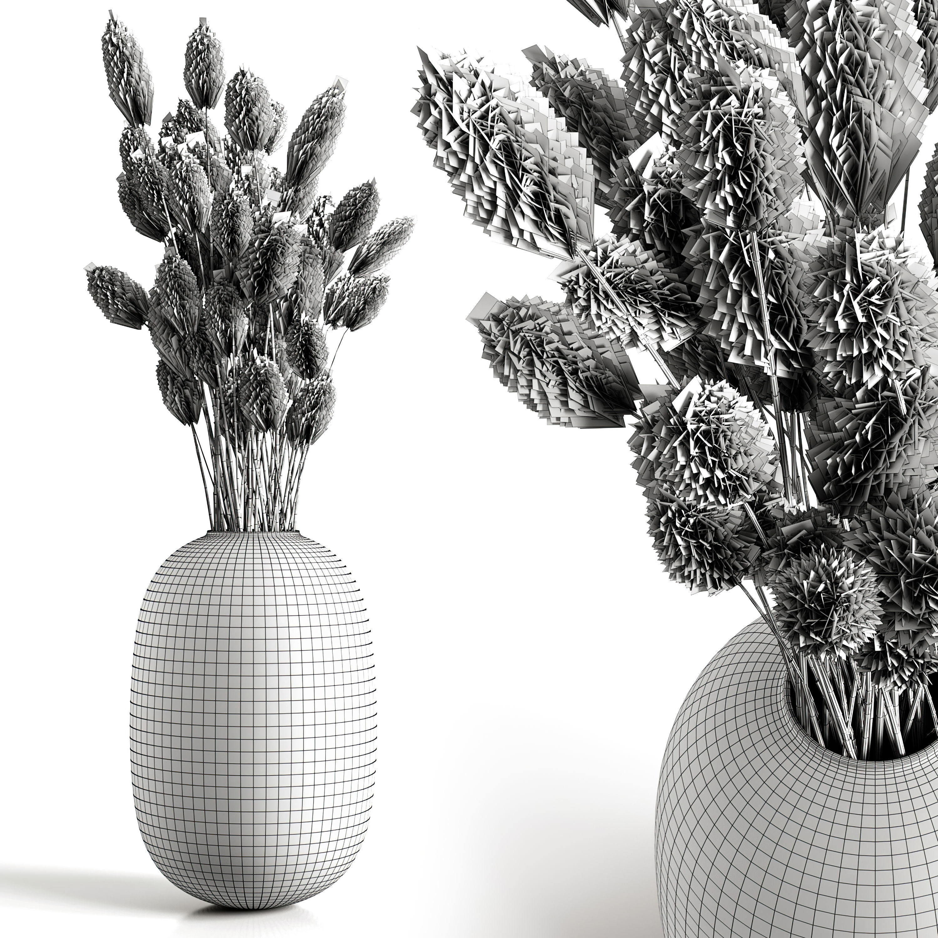 A bouquet of lagurus 3D model_3