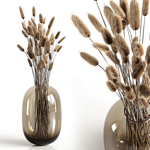 A bouquet of lagurus 3D model