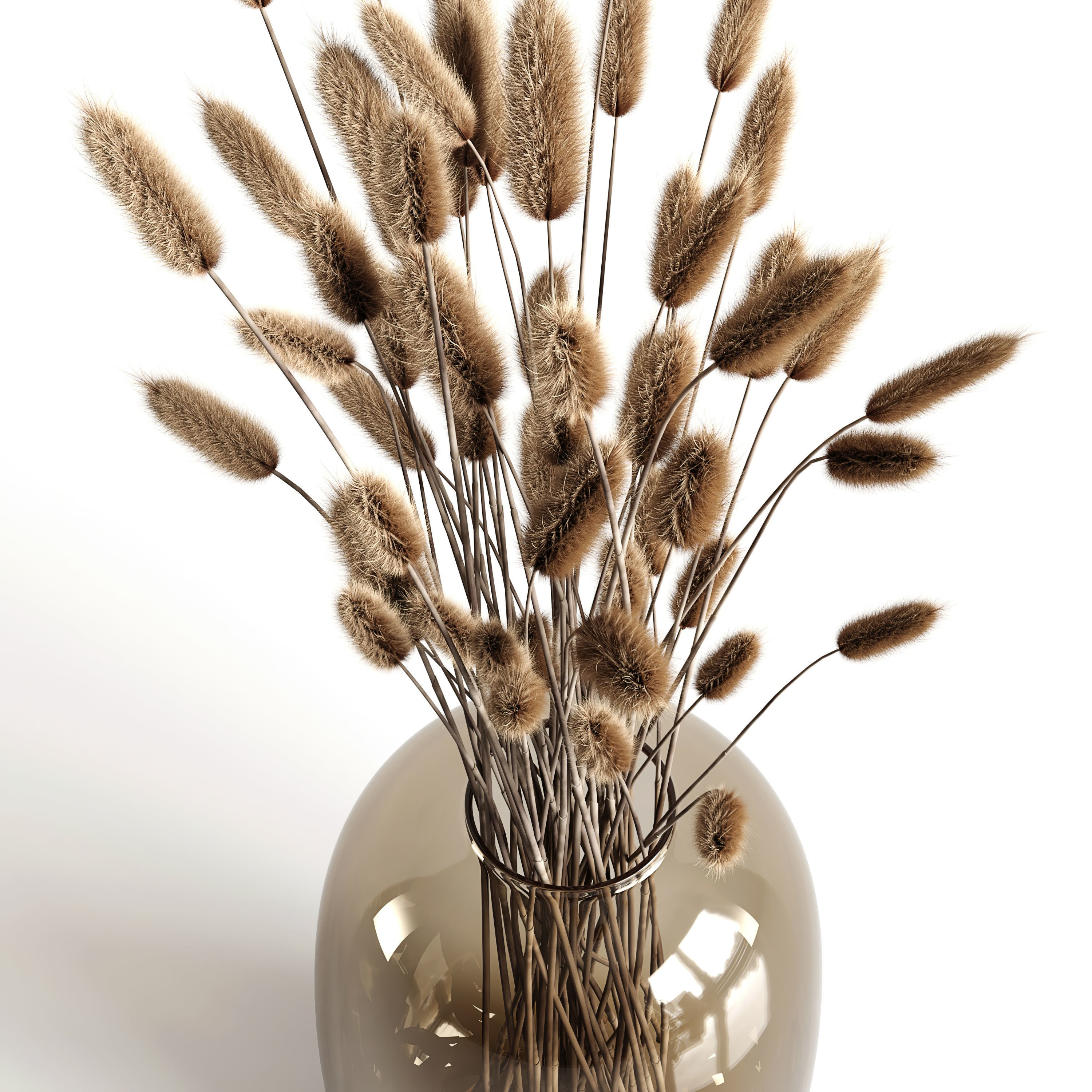 A bouquet of lagurus 3D model_2
