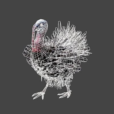 Animated Turkey 3D model_6