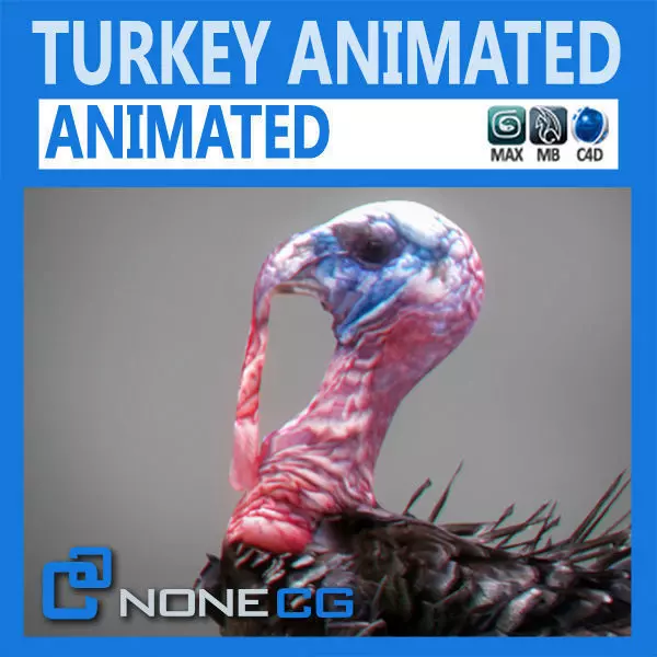 Animated Turkey 3D model_0
