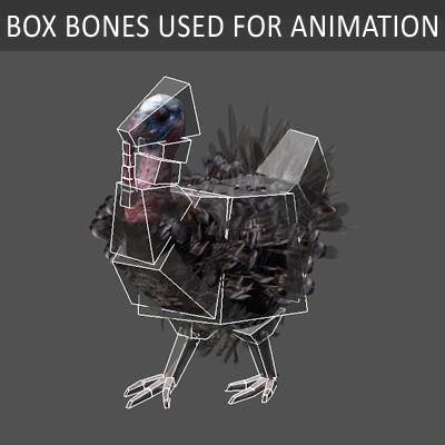 Animated Turkey 3D model_7