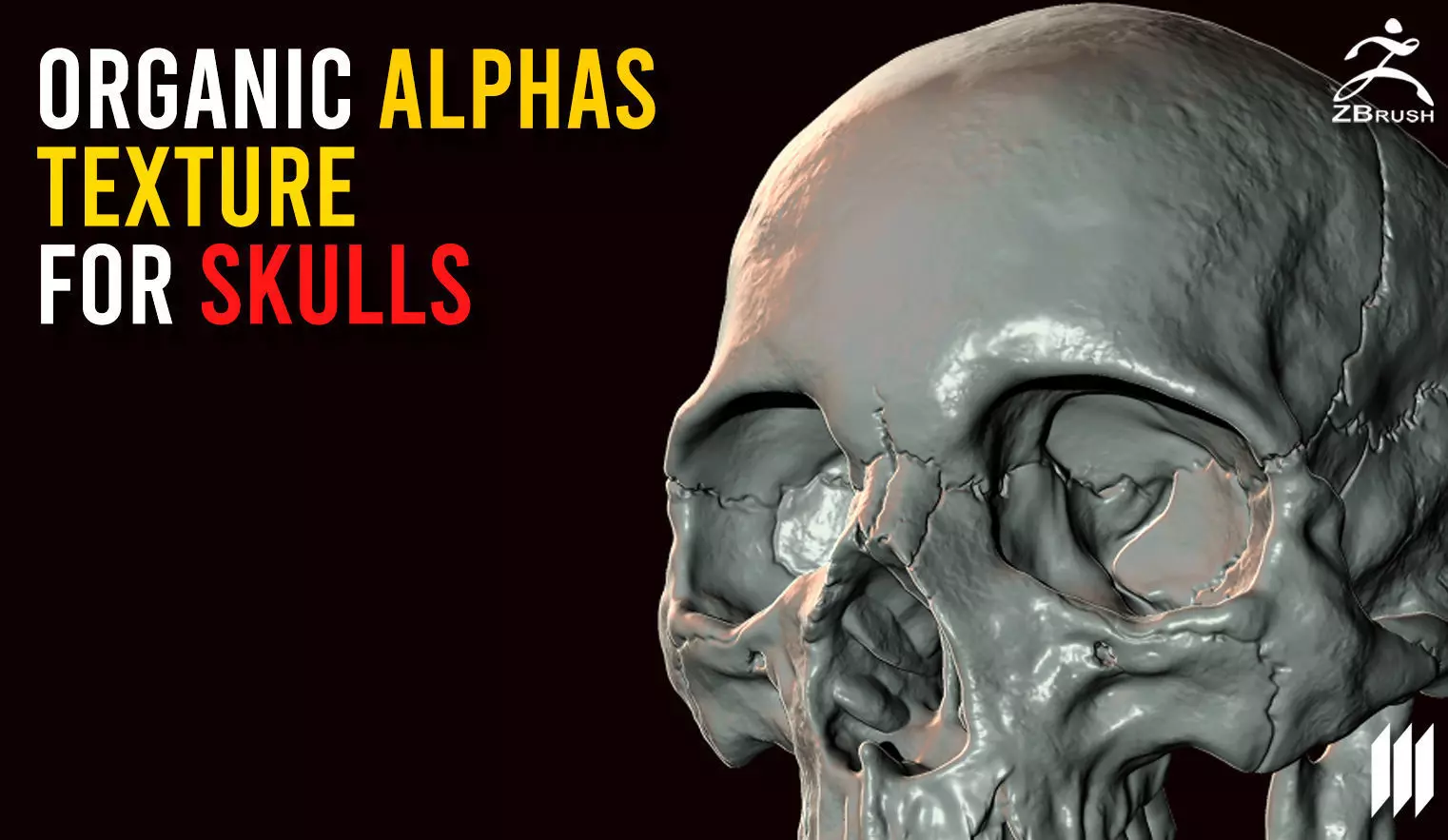 35 Organic Alphas Texture For Skulls Making Texture_0