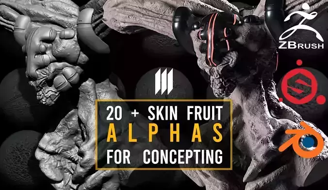 Skin Alphas From Fruits For Zbrush Substance Painter Blender Texture