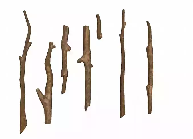 Cartoon Wooden Sticks 3D model