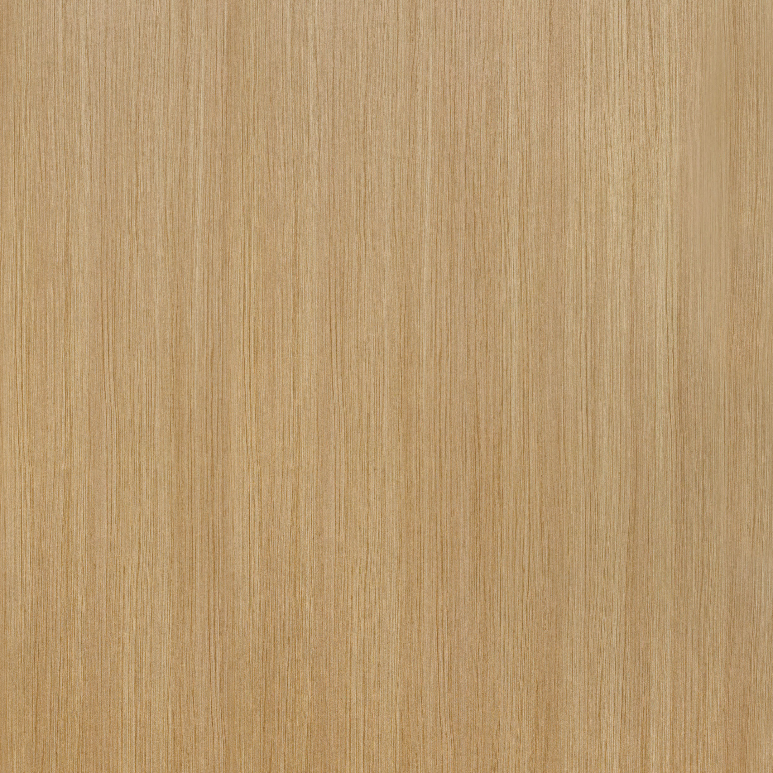 Parametric Wall Design with Ceiling 3D model_2