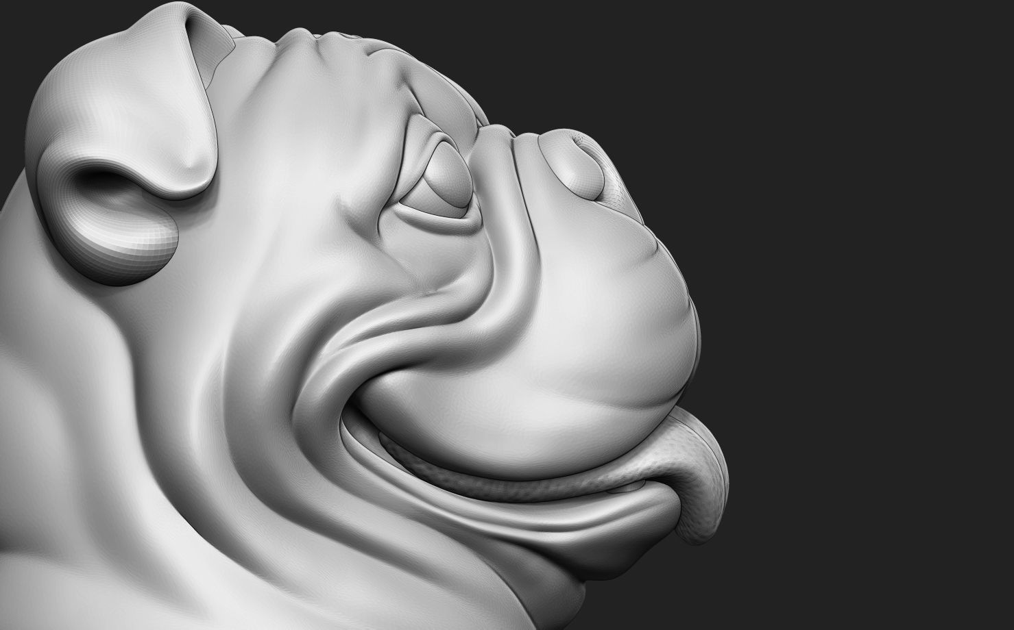 British Bulldog Head 3D print model_14
