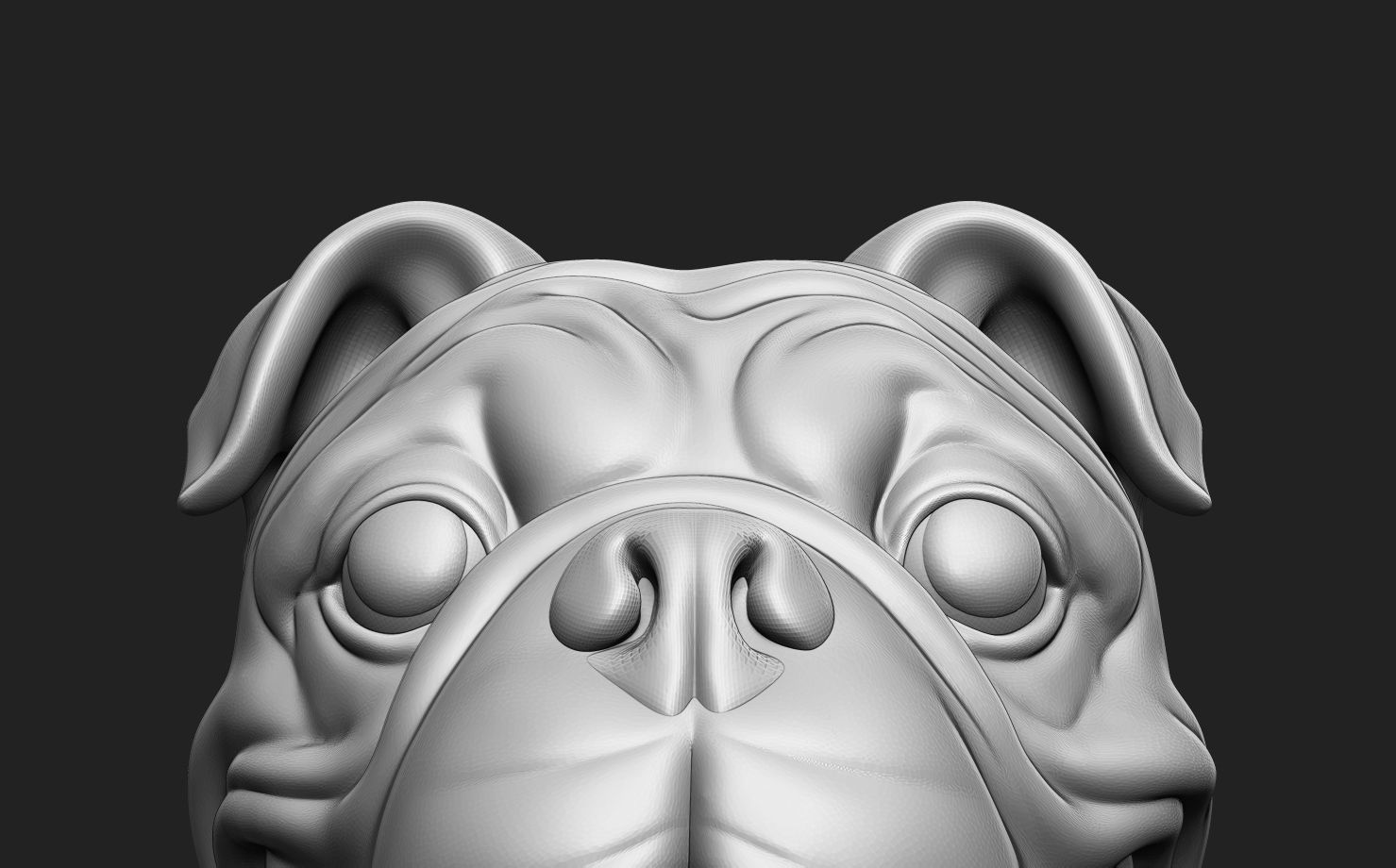 British Bulldog Head 3D print model_16