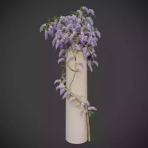 XfrogPlants Chinese Wisteria - Wisteria Sinensis 3D model