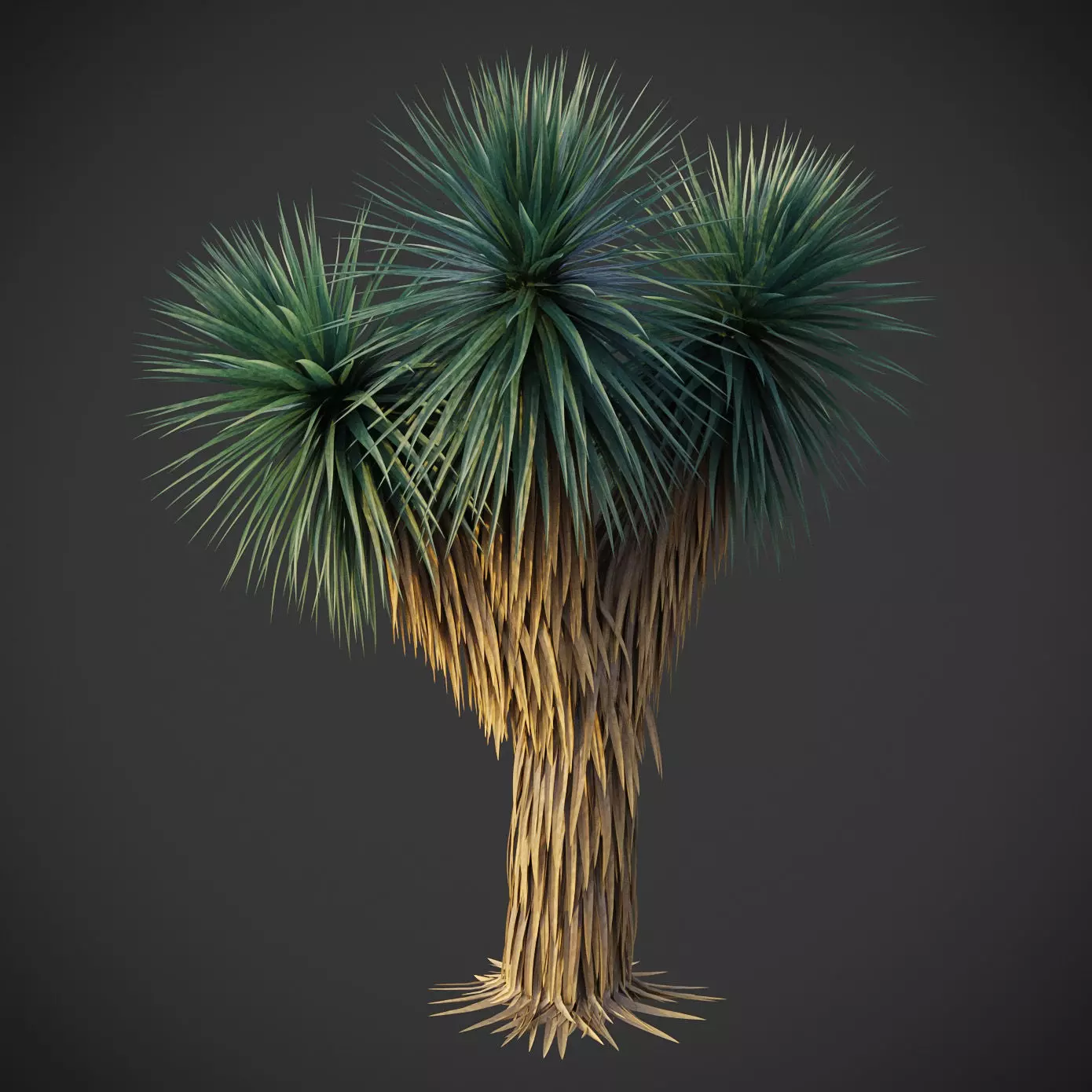 XfrogPlants Blue Yucca - Yucca Rigida 3D model_0