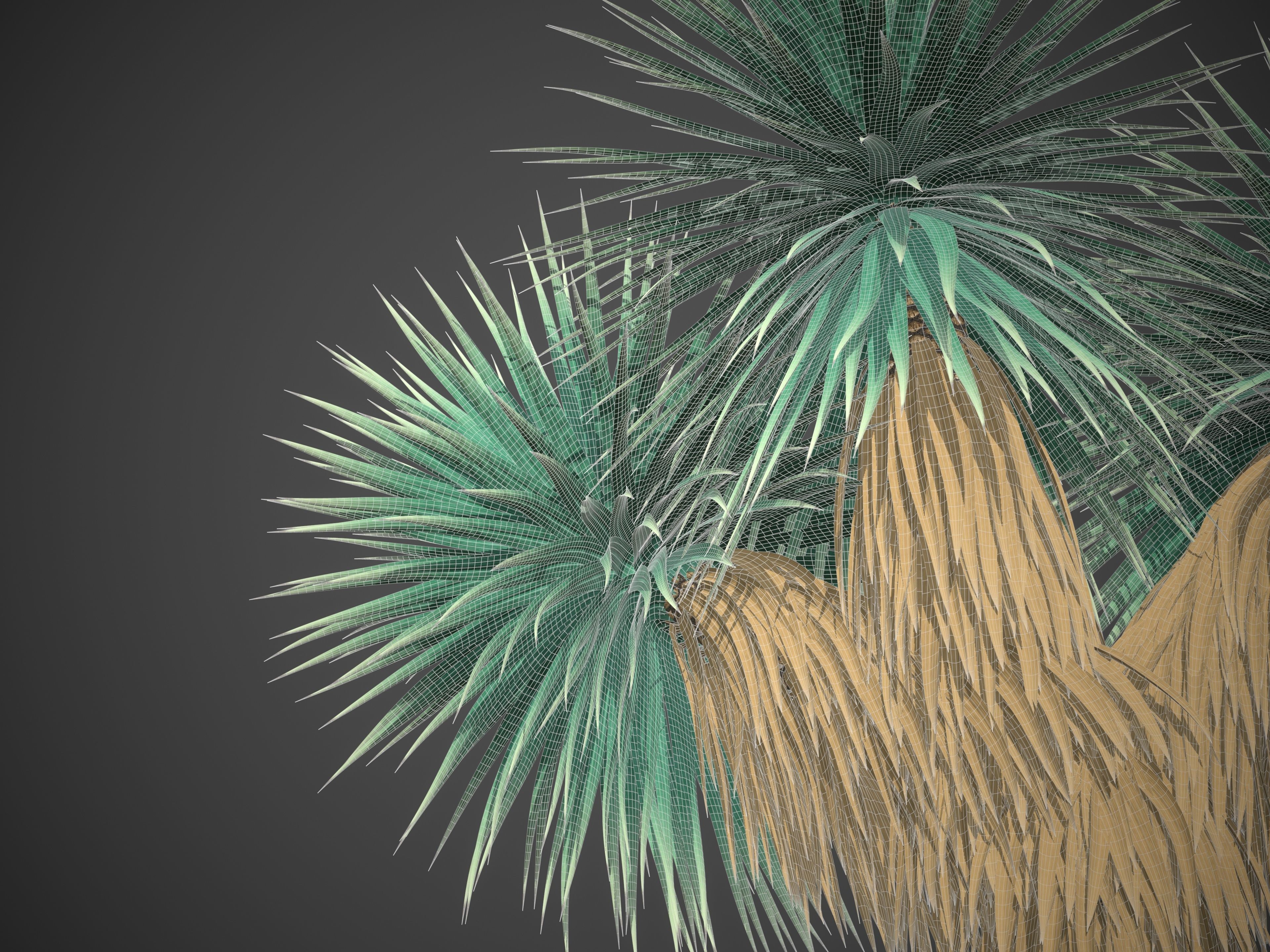 XfrogPlants Blue Yucca - Yucca Rigida 3D model_6