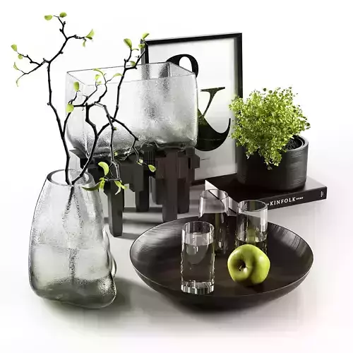 Decorative vases with plants 3D model