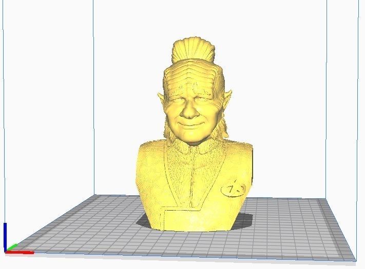 Neelix Star Trek 3D print model_3