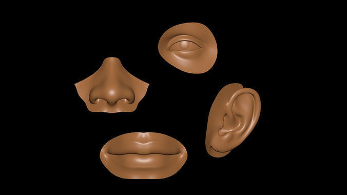 facial elements lowpoly model  Low-poly 3D model
