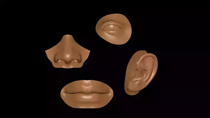 facial elements lowpoly model  Low-poly 3D model
