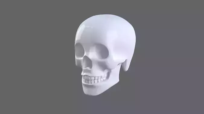 Human Skull 3d model
