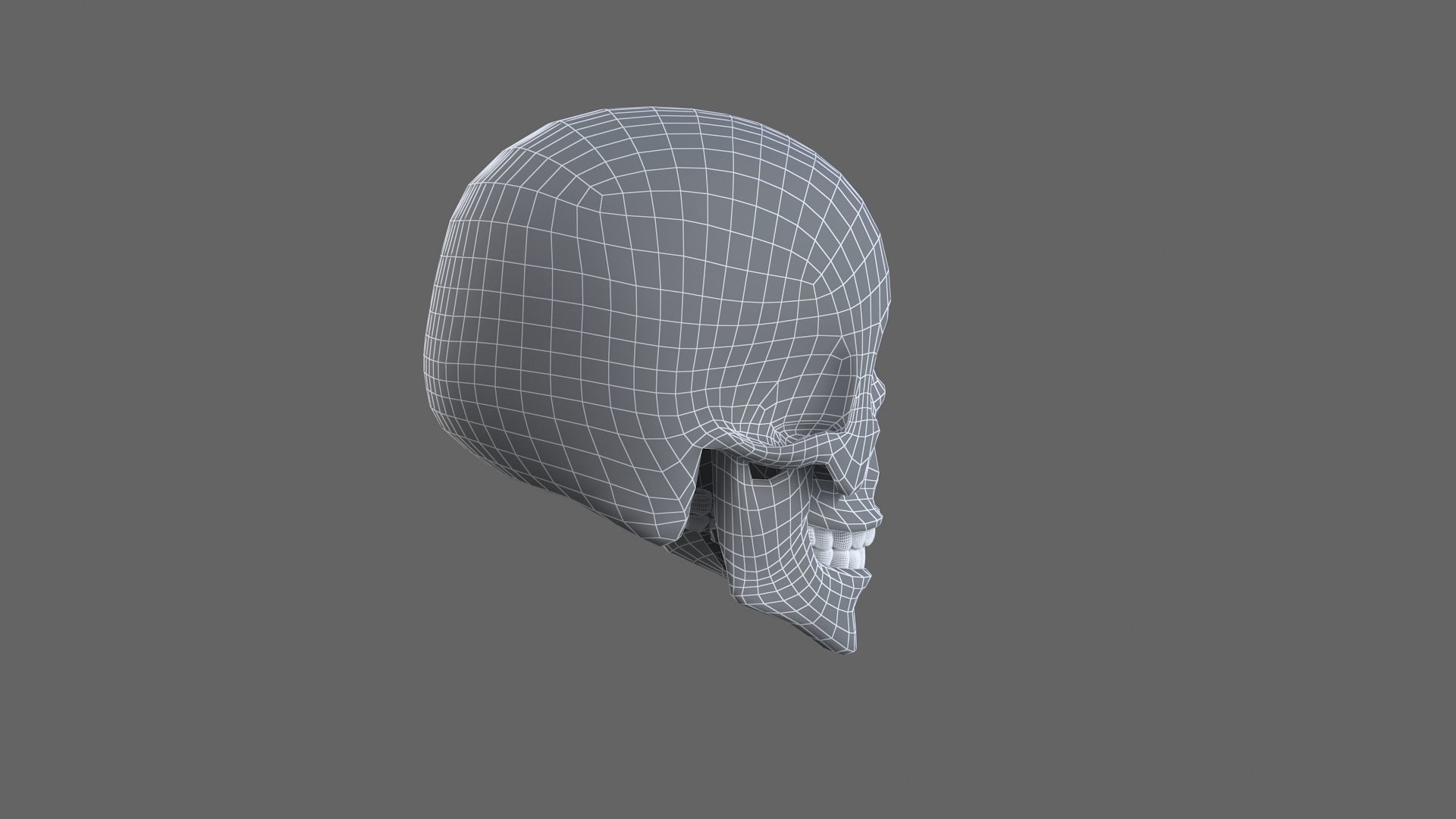 Human Skull 3d model 3D model_11