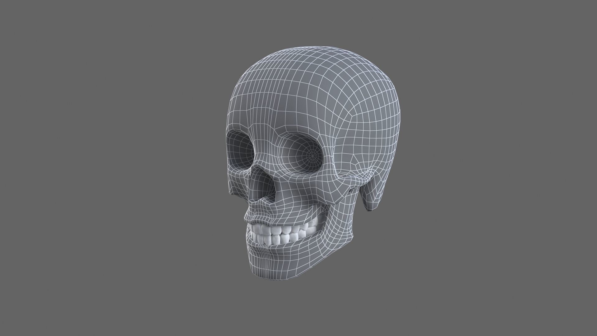 Human Skull 3d model 3D model_8