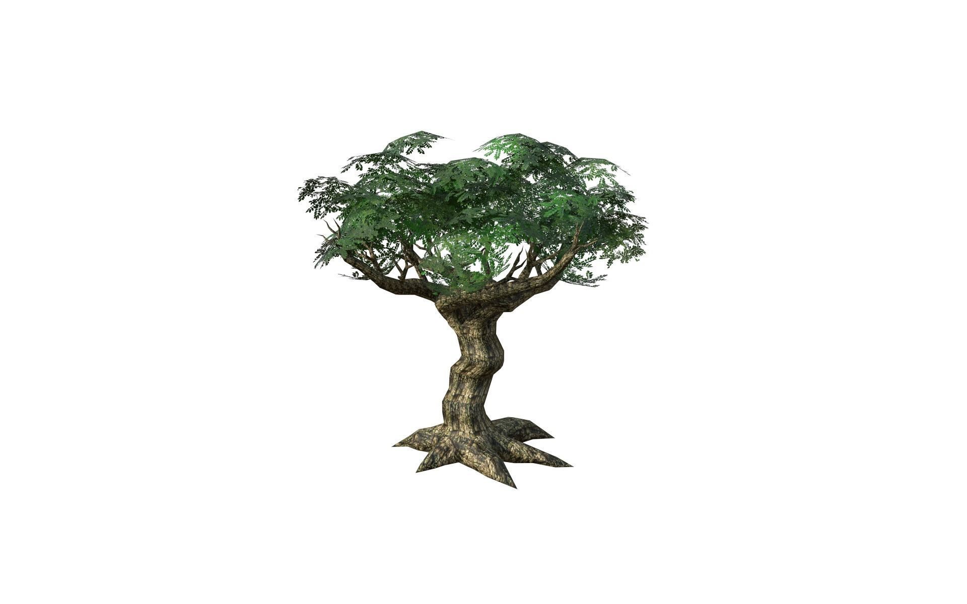 Big tree Low-poly 3D model_7